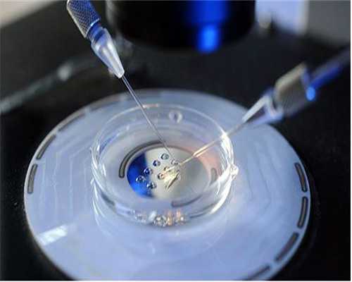 2026上海三代试管助孕医院排名及借卵生男孩费用解析