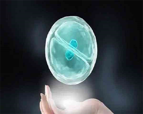 2026吉林供卵试管婴儿机构排名及借卵生子医院选择指南