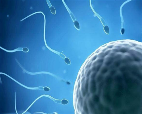 山东妇幼保健院借卵试管婴儿及三代试管成功率解析