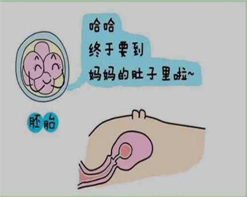 长沙三代试管助孕费用及生男孩价格解析，成功率影响因素详解