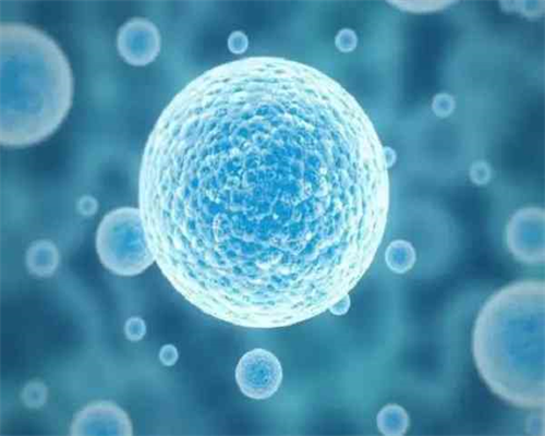上海供卵试管婴儿医院排名及生男孩费用标准2026